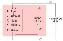 $エクセルマクロ達人養成塾塾長ブログ-脳の仕組み